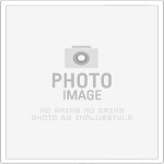 2025台北高雄搬家公司推薦與費用解析
